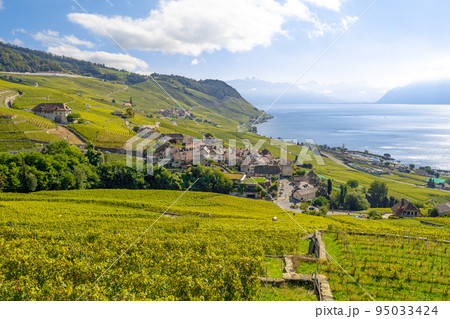 ラヴォー地区のブドウ畑とレマン湖 (スイス) ラヴォー地区のブドウ畑とレマン湖 (スイス) 95033424