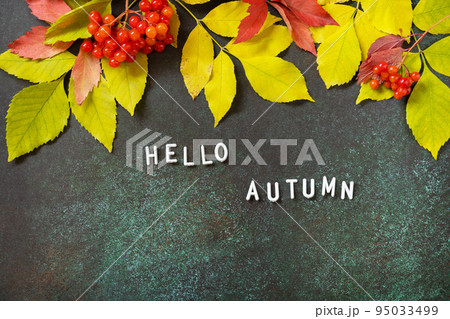 Hello Autumn text. Autumn composition with colorful leaves and autumn nature berries. Cozy autumn mood. Fall seasons greeting card. Hello Autumn text. Autumn composition with colorful leaves and autumn nature berries. Cozy autumn mood. Fall seasons greeting card. 95033499