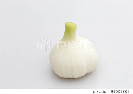 新鮮なニンニク 新鮮なニンニク 95035305