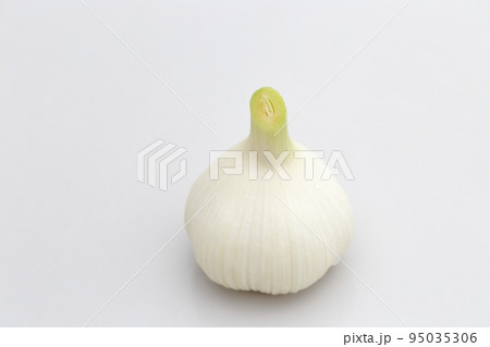 新鮮なニンニク 95035306