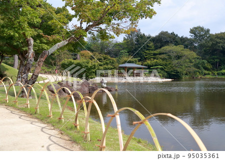 自然豊かな公園、めだか池周辺（モリコロパーク、ジブリパーク　愛知県 長久手市） 95035361