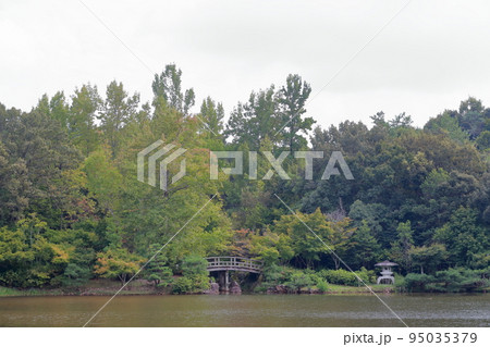 自然豊かな公園、めだか池周辺（モリコロパーク、ジブリパーク　愛知県 長久手市） 95035379