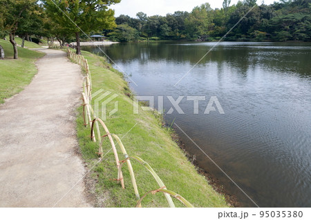 自然豊かな公園、めだか池周辺（モリコロパーク、ジブリパーク　愛知県 長久手市） 95035380