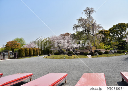 日本の京都府の京都市 春の東寺 満開の桜と美しい日本庭園 敷地内で営業する茶屋の赤い長椅子 日本の京都府の京都市 春の東寺 満開の桜と美しい日本庭園 敷地内で営業する茶屋の赤い長椅子 95038074