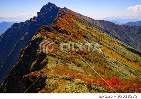 紅葉の谷川岳稜線と一ノ倉沢の断崖絶壁 紅葉の谷川岳稜線と一ノ倉沢の断崖絶壁 95038575