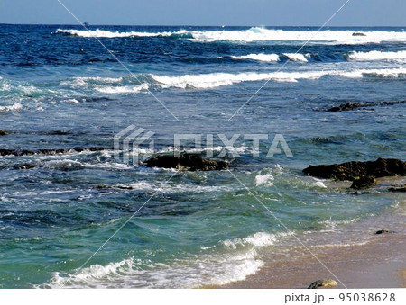 東海岸 とうがん 三仙台 95038628