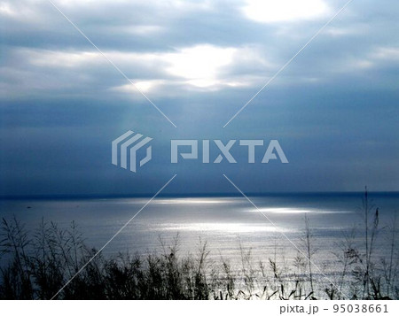 東海岸 とうがん 三仙台 95038661