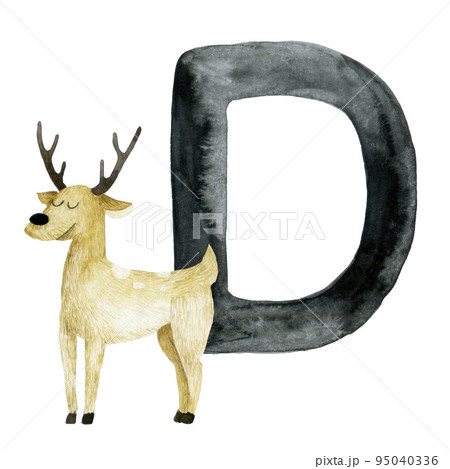 watercolor drawing. Educational card with letter D, English alphabet. Letter D and Deer drawing, cute forest animals 95040336