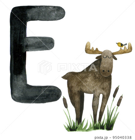 watercolor drawing. Educational card with letter E, English alphabet. Letter E and elk pattern, cute forest animals 95040338