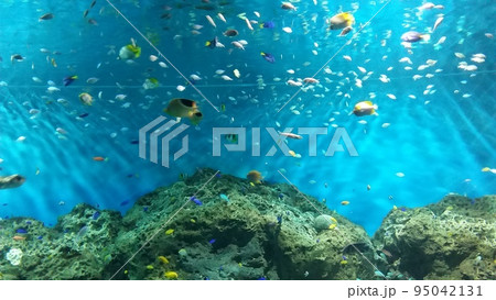 アクアワールド　水槽2 95042131