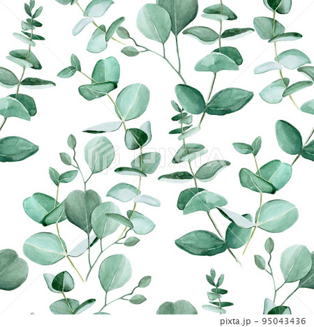 Seamless pattern with watercolor eucalyptus leaves on a white background. Vintage pattern with tropical leaves. Ready design for fabric, wallpaper, wrapper, textile. Seamless pattern with watercolor eucalyptus leaves on a white background. Vintage pattern with tropical leaves. Ready design for fabric, wallpaper, wrapper, textile. 95043436