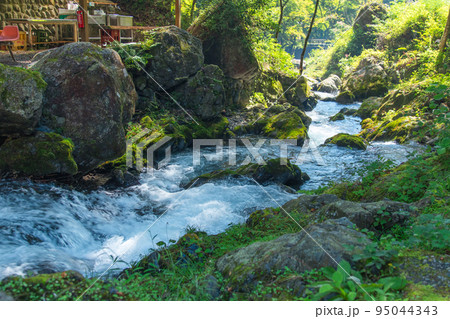 キャンプ場(奥多摩町-東京都) 95044343