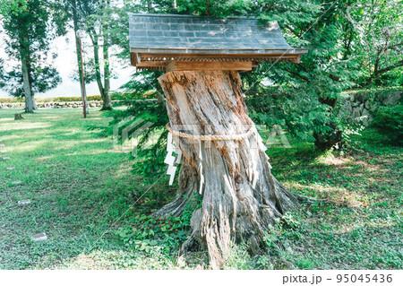 篠山城にある奇跡の安置場所 篠山城にある奇跡の安置場所 95045436