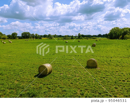 Wisconsin summertime hay field 95046531