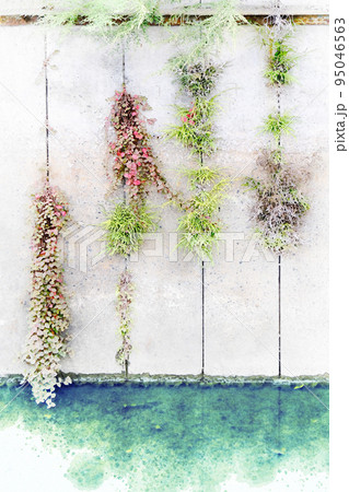 水辺で生きる力強い植物 95046563