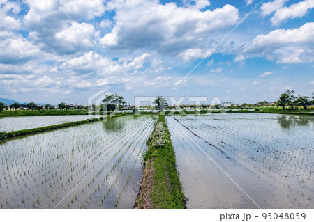 空が反射する美しい水田の風景の写真素材 [95048059] - PIXTA