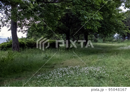 滋賀県大津市坂本城跡公園の風景 滋賀県大津市坂本城跡公園の風景 95048167