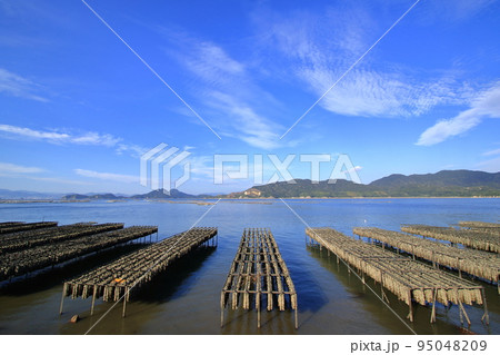 牡蠣抑制棚がある 広島県の瀬戸内海風景 95048209