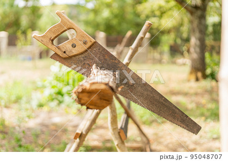 Handsaw pinned on a log in a garden Handsaw pinned on a log in a garden 95048707