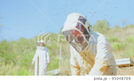 Two beekeepers working in a field during a sunny day Two beekeepers working in a field during a sunny day 95048709