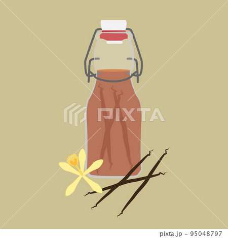 Bottle of vanilla extract. Natural vanilla spice 95048797