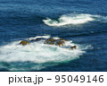 岩礁と波 95049146