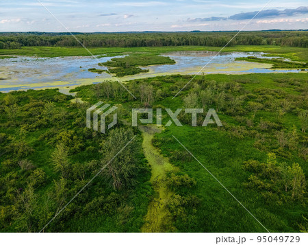 Natural Wilderness in Wisconsin away from mankind 95049729
