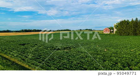 Summer farm landscape in wisconsin Summer farm landscape in wisconsin 95049771