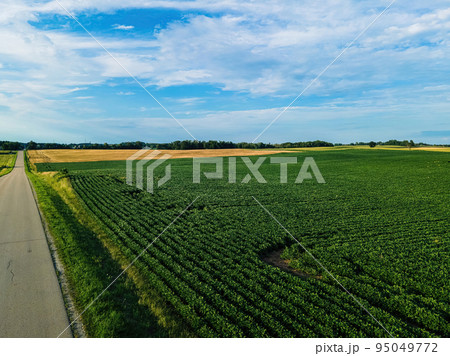 Empty rural road in wisconsin 95049772