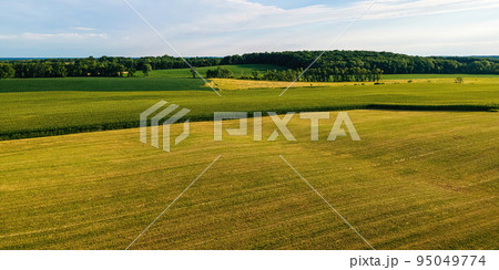 Vibrant summertime landscapes in wisconsin 95049774