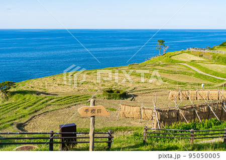 石川県　能登半島　刈り入れの終わった白米千枚田 95050005