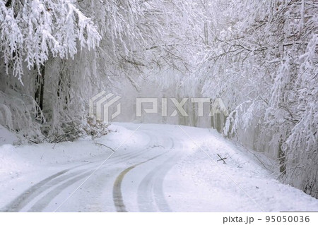 雪の山道 95050036