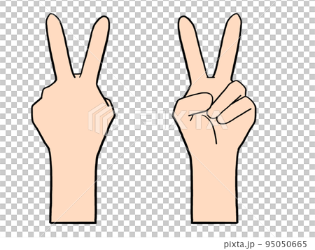 チョキの手のイラスト(表と裏)(日本人) チョキの手のイラスト(表と裏)(日本人) 95050665