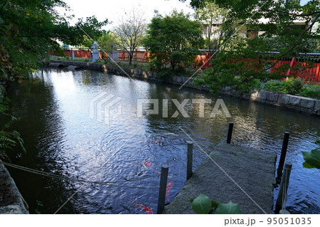 京都　亀岡市　稗田野神社の和銅禊ぎの池（初秋） 95051035