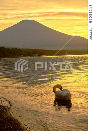 富士五湖山中湖_No6 95051113