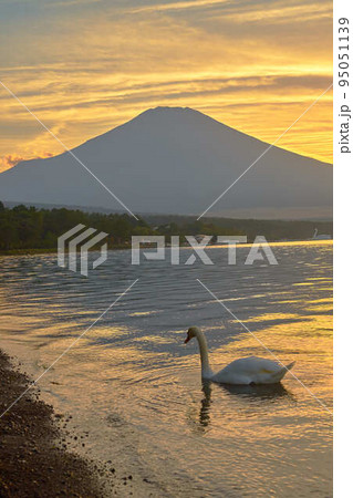 富士五湖山中湖_No4 95051139