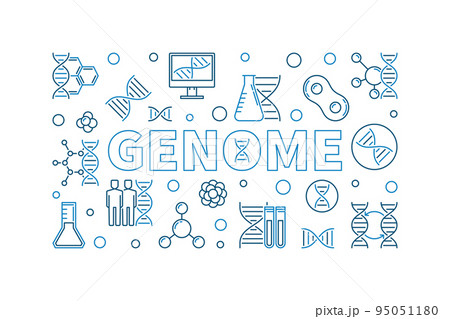 Genome vector outline horizontal illustration or banner 95051180