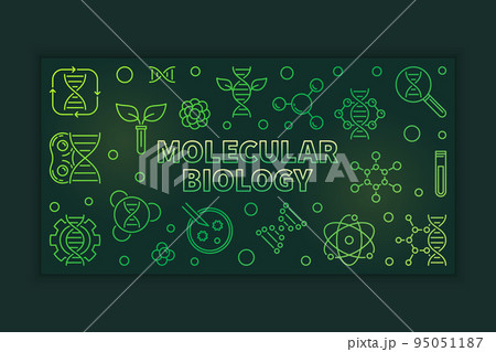 Molecular Biology vector outline green banner or illustration 95051187