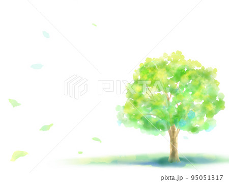 水彩の木　背景素材 95051317