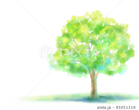 水彩の木　背景素材 95051319