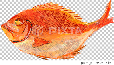 年菜鹽烤鯛魚 95052316