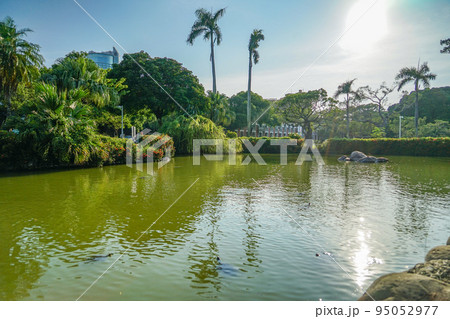 成功大学の池 成功大学の池 95052977