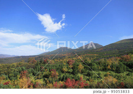 望岳台から見た美瑛岳、美瑛富士と紅葉 95053833