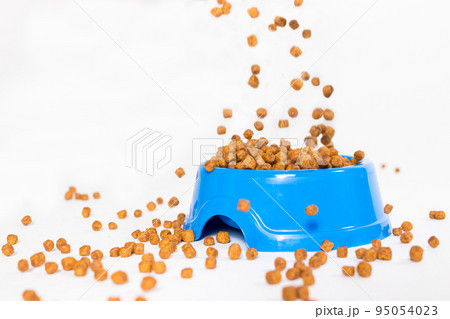Dry food for kittens and cats pours into a blue plate. on white with space for text. Balanced food, shop for animals 95054023