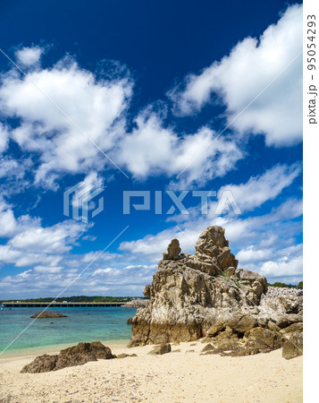 崎本部ゴリラチョップ 崎本部ゴリラチョップ 95054293