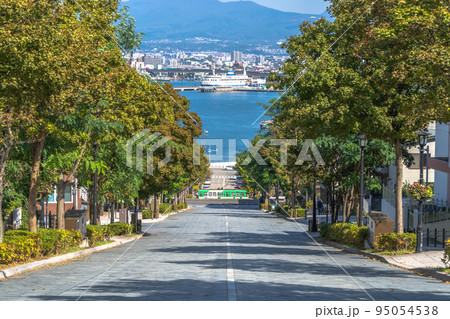 函館の八幡坂からの風景 95054538