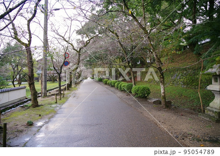 秋月城跡 秋月城跡 95054789