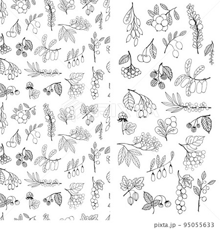 Set of wild and cultivated berries and seamless pattern 95055633