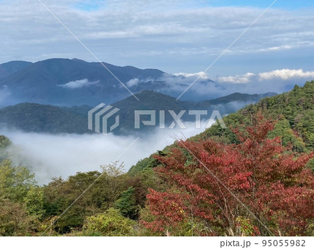 雲海に浮かぶ山と紅葉 95055982