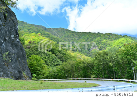 日光 いろは坂 栃木県日光市 日光 いろは坂 栃木県日光市 95056312
